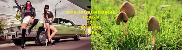 скорость Нязепетровск