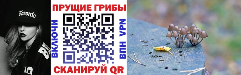 Галлюциногенные грибы GOLDEN TEACHER Унеча