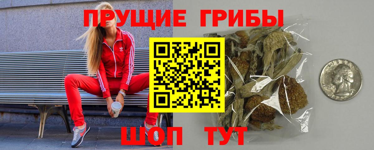 сколько стоит  Вход с VPN  Унеча  Галлюциногенные грибы ЛСД 